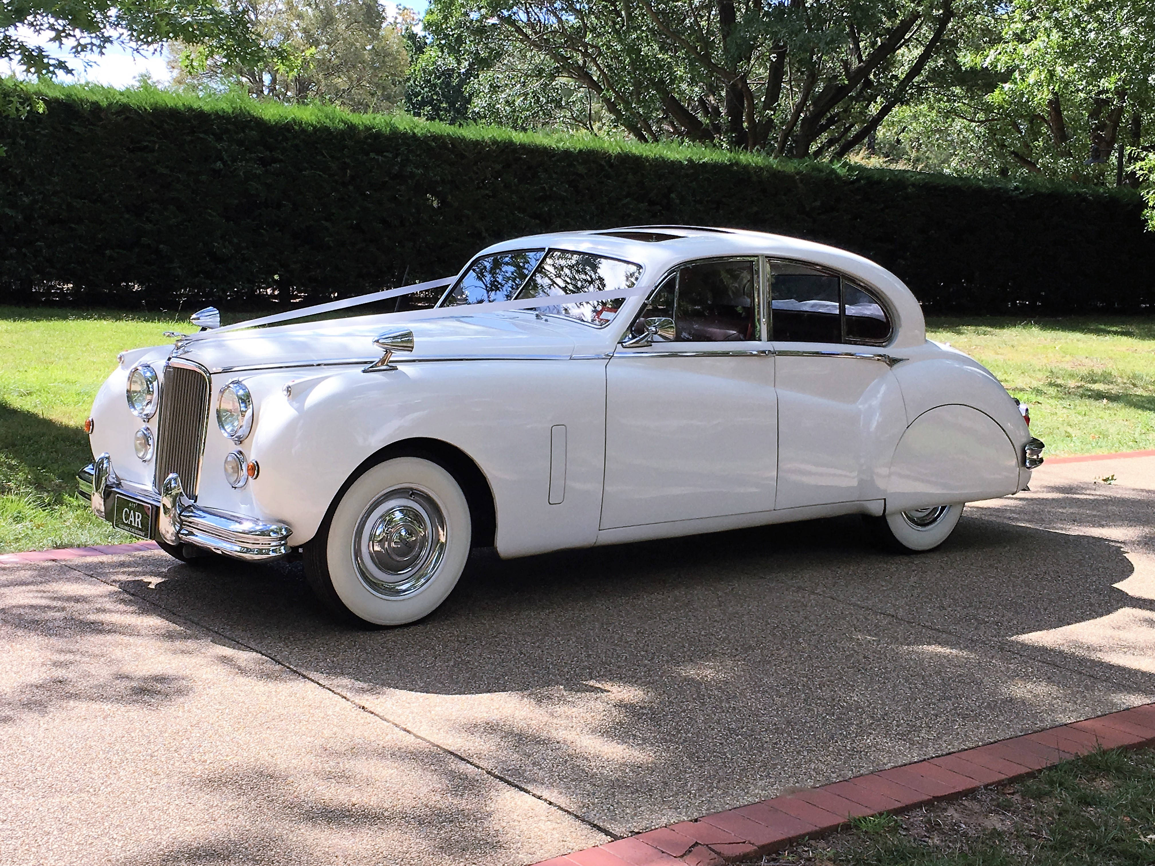 1954 Jaguar Mk VII | A1 Classic Car Rentals - Canberra Weddings